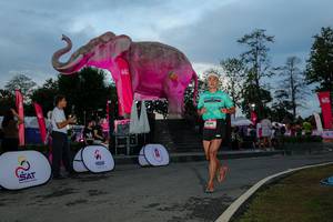 BIB: 
                            <button type="button" onclick="openModal(26529552)" class="btn btn-primary btn-sm float-right btn-popup" data-toggle="modal" data-target=".modal-high-quality">
                        <i class="fas fa-shopping-cart"></i> Add to Cart
                    </button>
                                            <button type="button" onclick="isThisMe(26529552, true)" class="btn btn-success btn-sm float-right btn-popup btn-isme hidden" data-toggle="tooltip" data-placement="bottom" title="นี่คือรูปของคุณใช่ไหม คลิกที่นี่เพื่อเอาเข้าอัลบั้ม">
                        <i class="fas fa-plus"></i> Add to album
                    </button>
                    <button type="button" onclick="isThisMe(26529552, false)" class="btn btn-warning btn-sm float-right btn-popup btn-isnotme hidden">
                        <i class="fas fa-ban"></i> Remove from album
                    </button>